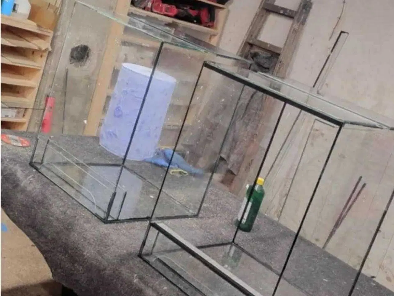 Billede 10 - Glas Terrarier