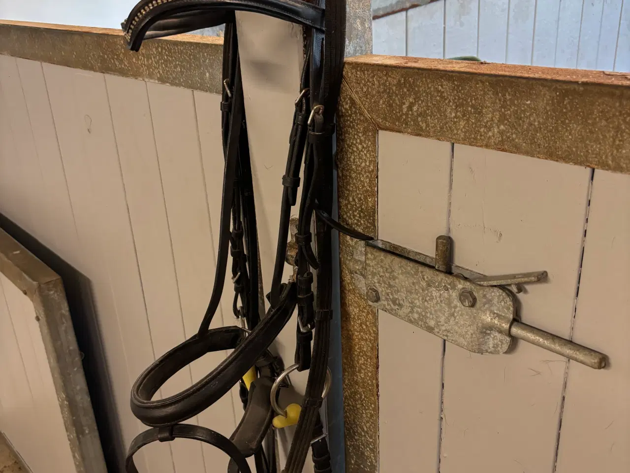 Billede 4 - Kieffer sadel 17” og trense