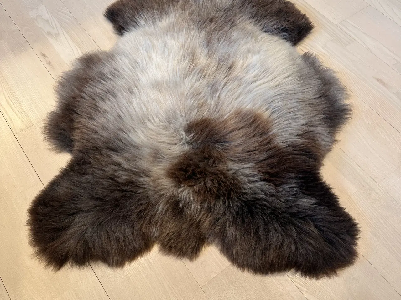 Billede 3 - Helt nyt dansk lammeskind 