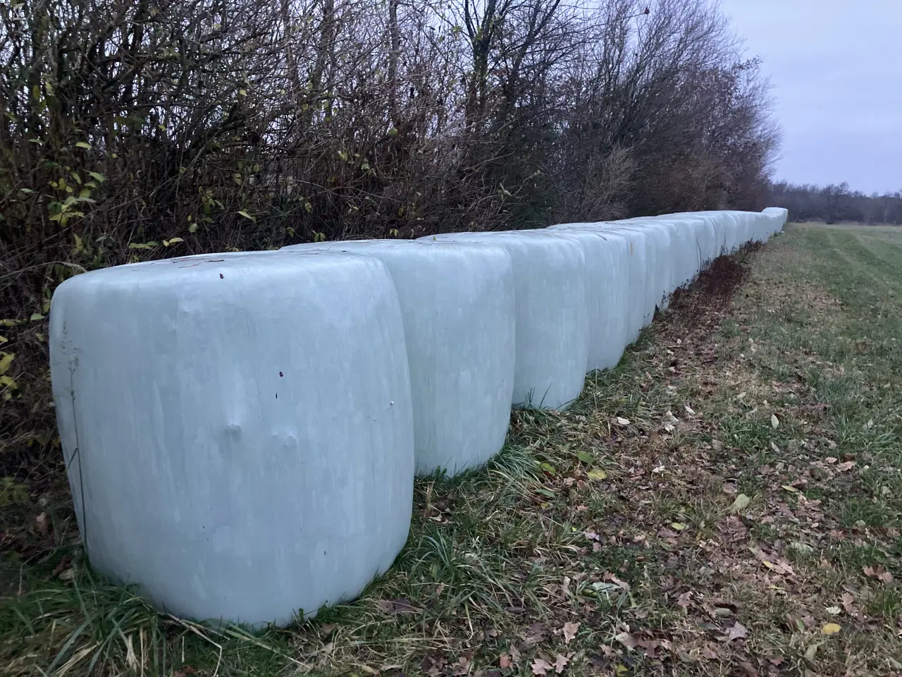 Billede 1 - Kvalitets wrap 1 slet 2025