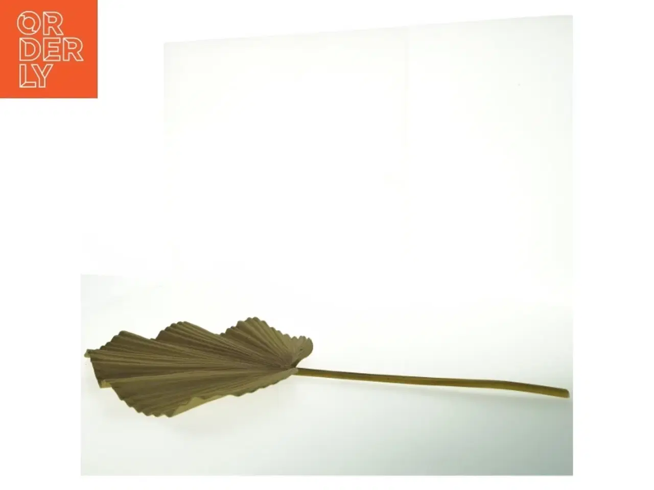 Billede 3 - Tørrede palmeblade (str. Længde. 63 cm bredde. 34 cm)