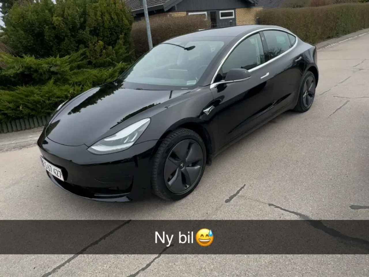 Billede 1 - Tesla model 3 2020 SR+