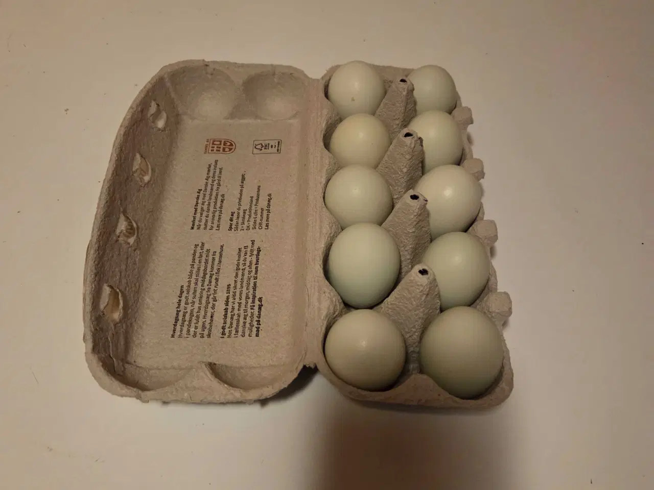 Billede 2 - Creme lecb rugeæg 