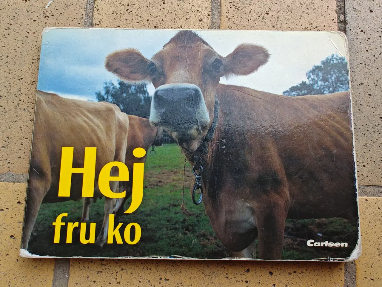 Billede 1 - Hej fru ko BOG