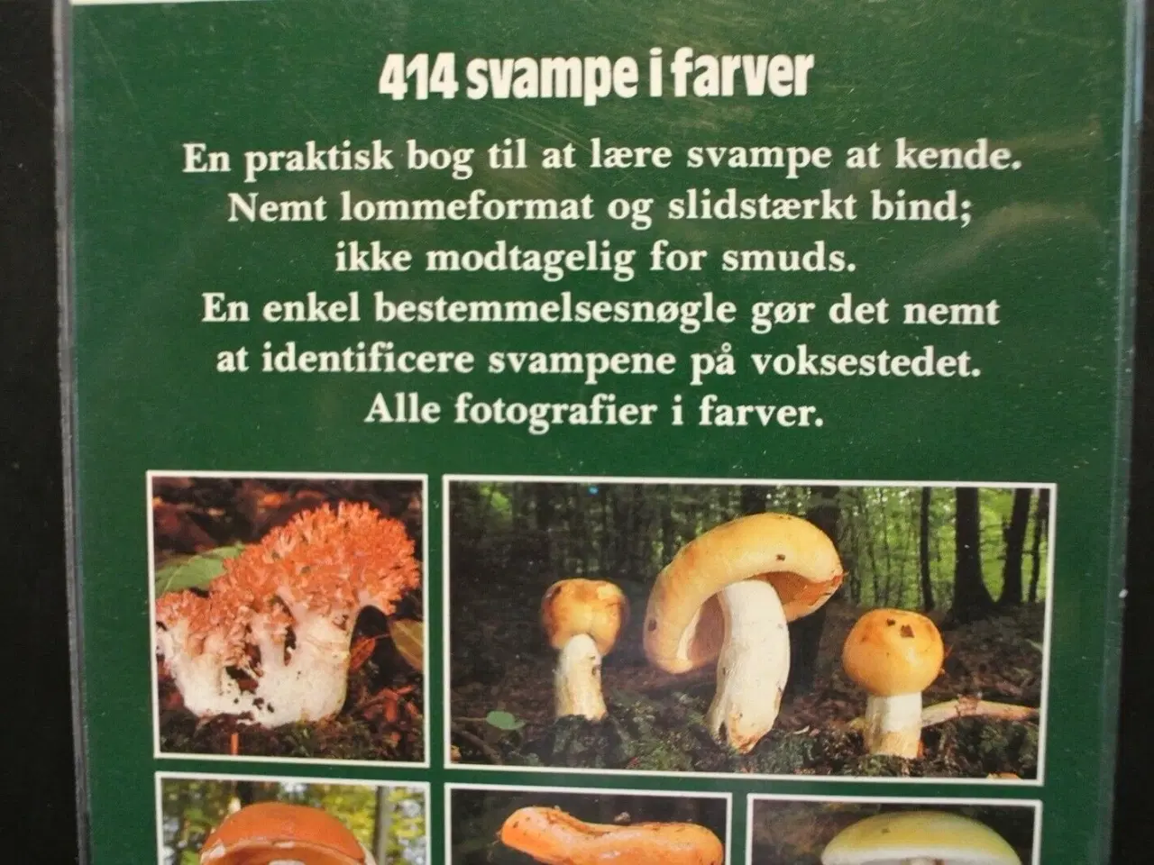 Billede 2 - svampe - lær 414 svampe at kende, af edmund garnwe