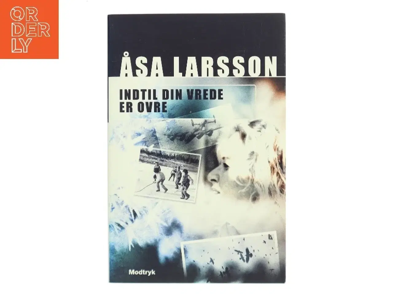 Billede 1 - Indtil din vrede er ovre af Åsa Larsson (Bog)