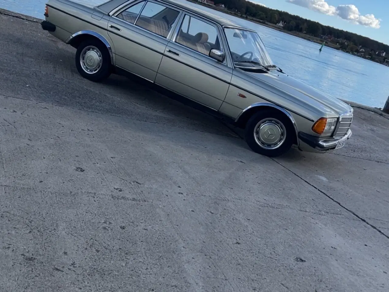 Billede 2 - Mercedes Benz W123 230E