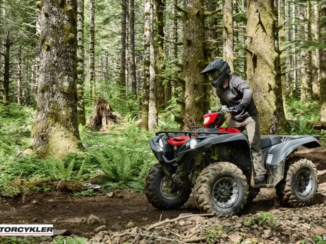 Billede 8 - Yamaha Grizzly 700 EPS Traktor