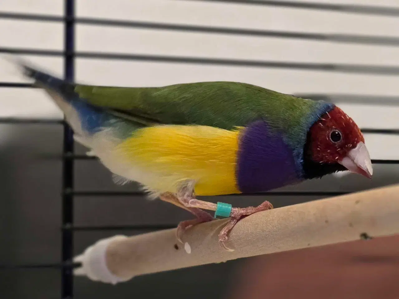 Billede 2 - Flotte fyr byttes