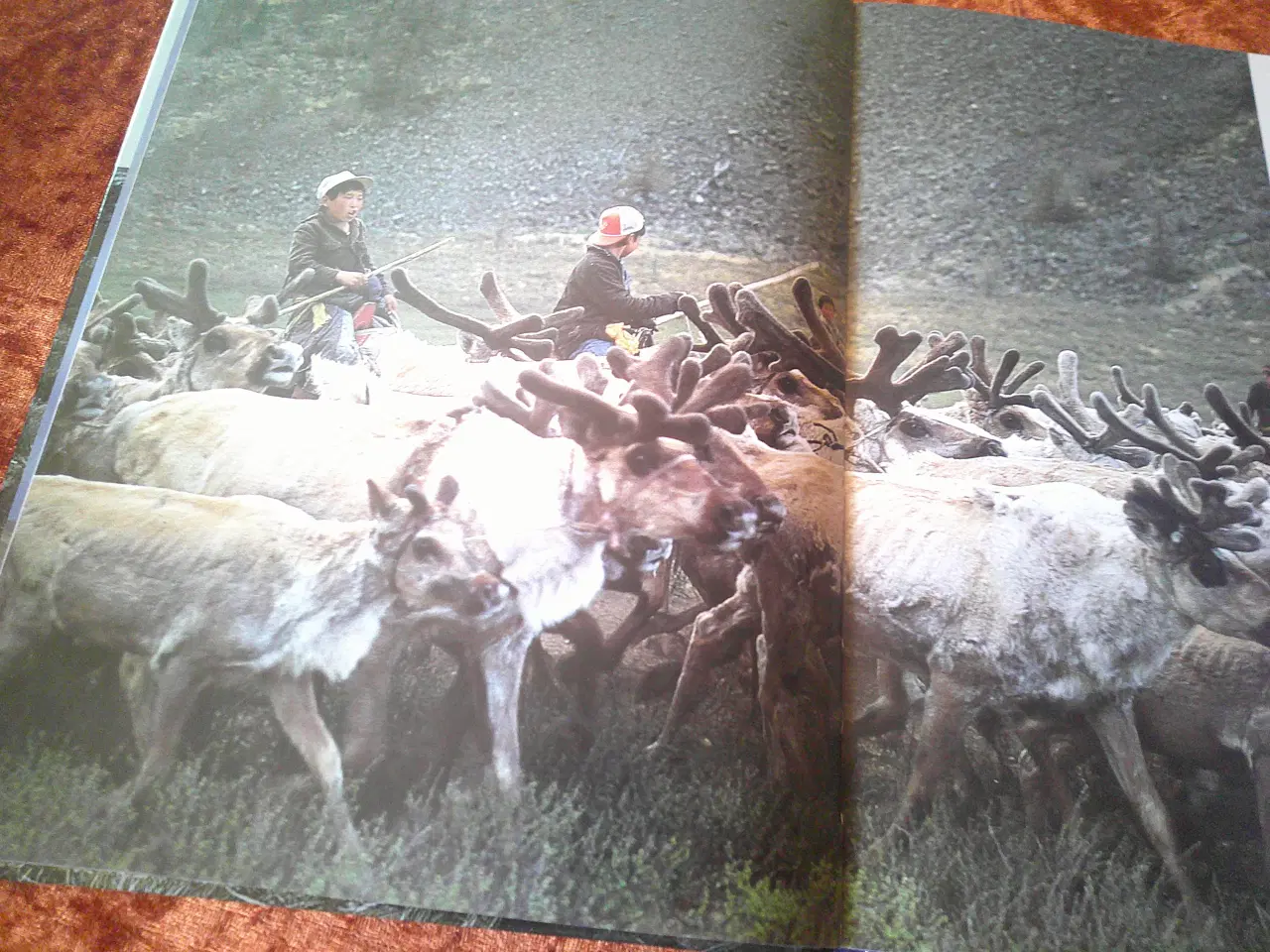 Billede 2 - Drengen i Taigaen, Blid Alsbirk