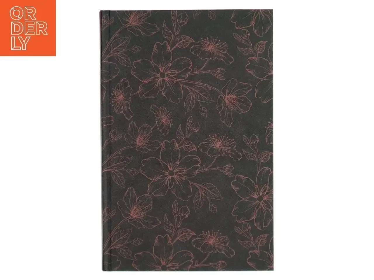 Billede 1 - Bjergsted drømme, Bog