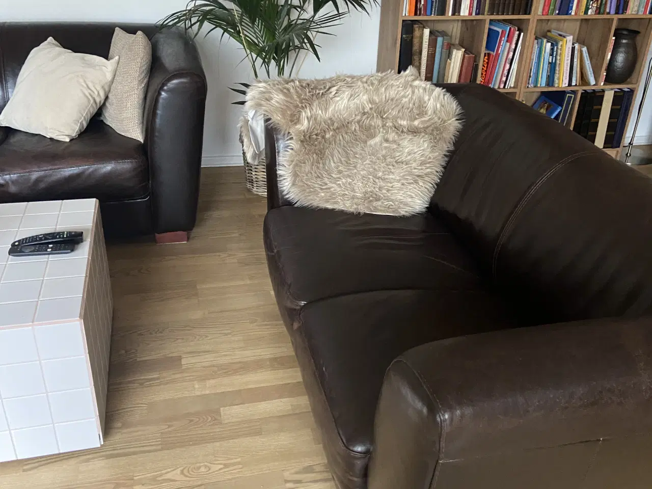 Billede 3 - 2 lækre brune sofaer 