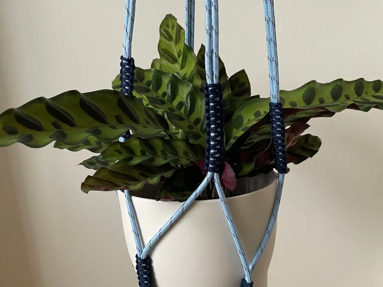 Billede 1 - Hay planteholder blå