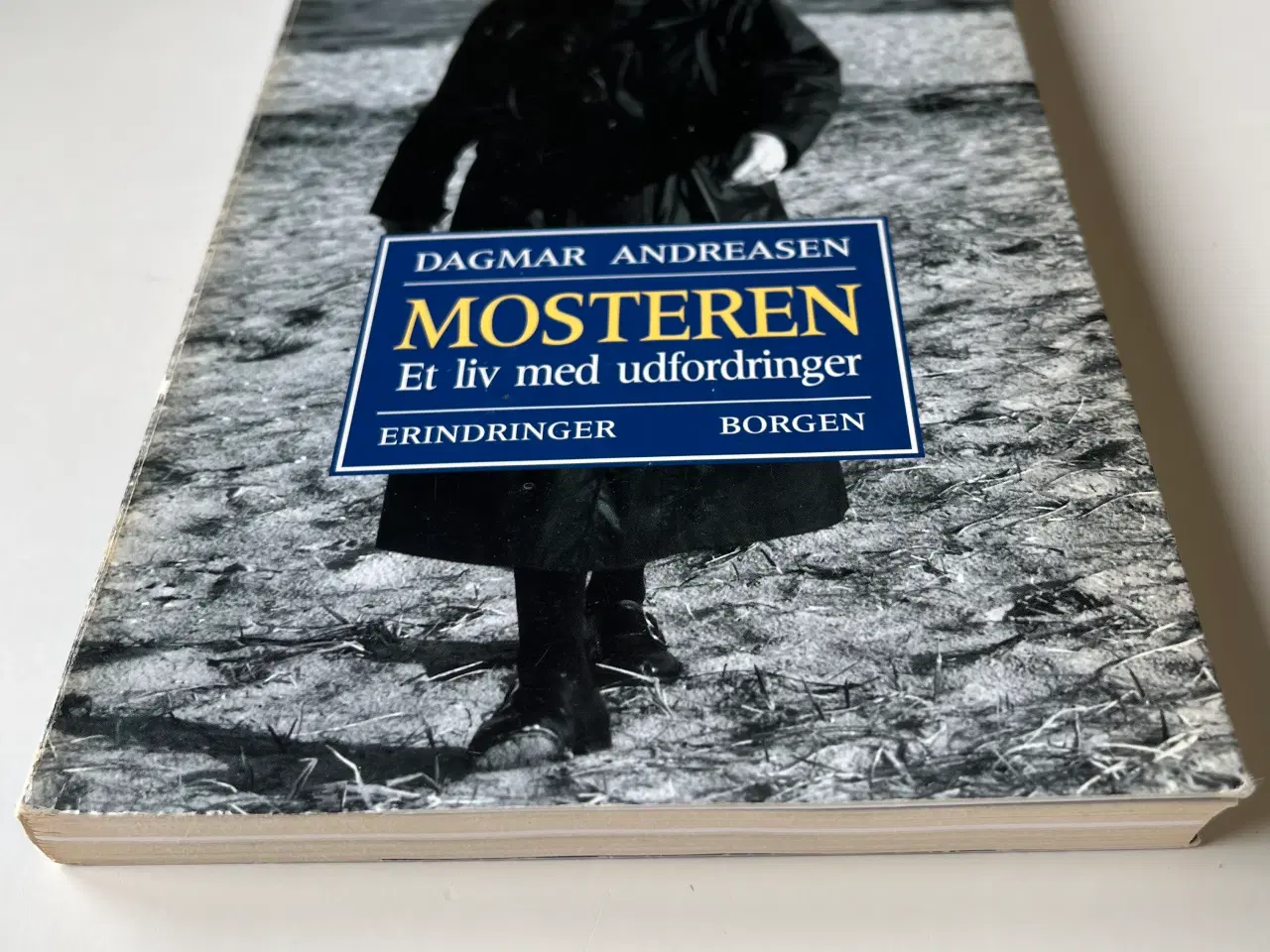 Billede 2 - Mosteren- et liv med udfordringer 
