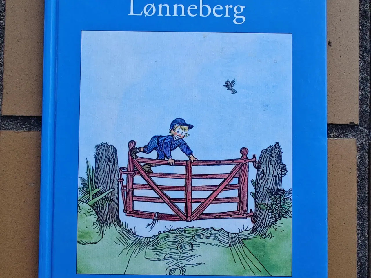 Billede 1 - Emil fra Lønneberg BOG af Astrid Lindgren