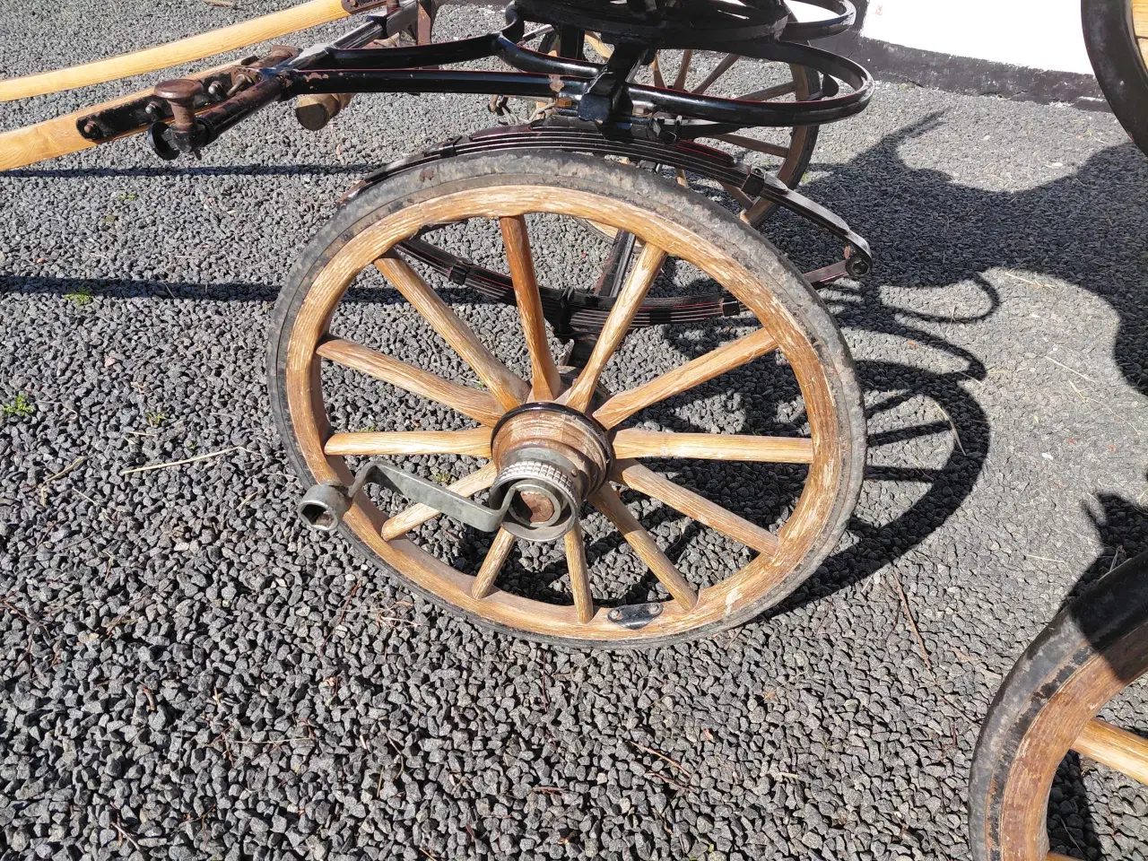 Billede 13 - Wagonette 