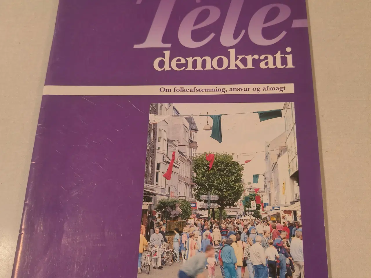 Billede 1 - Teledemokrati