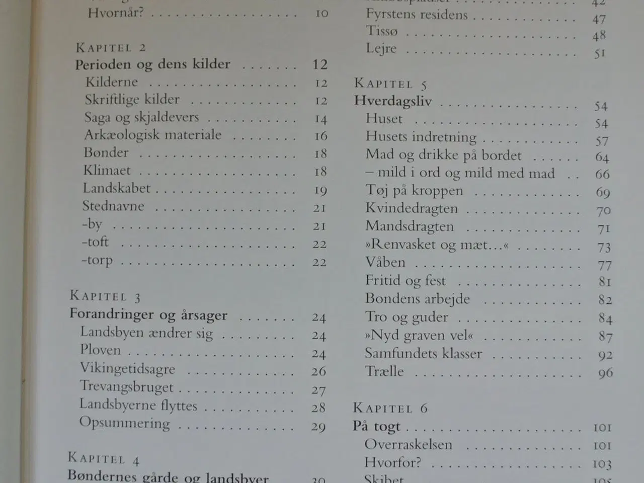 Billede 2 - vikingetiden i danmark, af frank birkebæk