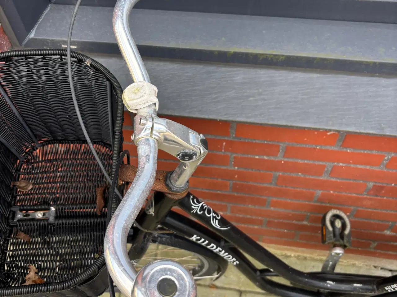 Billede 4 - Trænger til en kærlig hånd