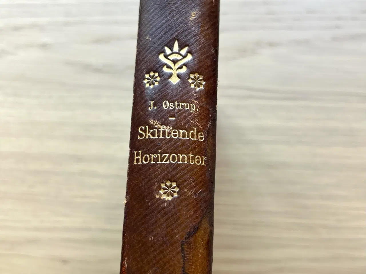 Billede 1 - Skiftende Horisonter – Johannes Østrup Førsteudgav