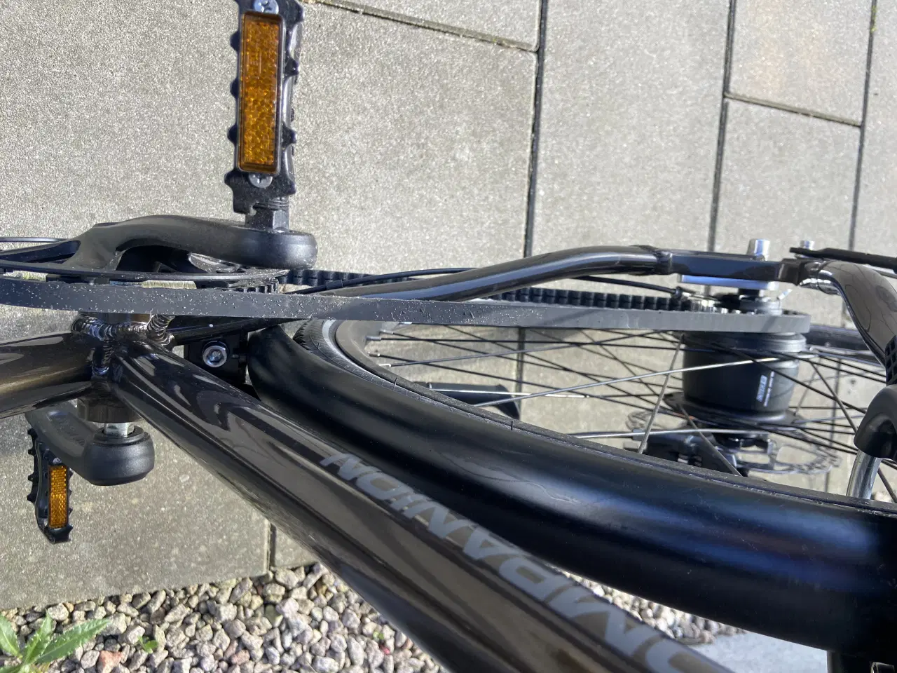 Billede 3 - Companion C4, 56 cm 
