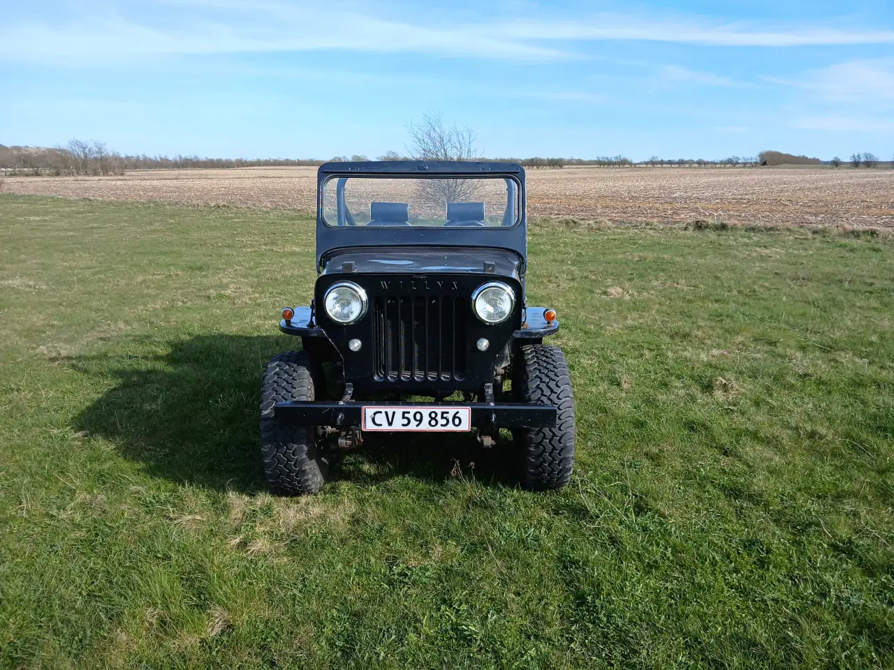 Billede 6 - Willys Jeep CJ3b Byttes 