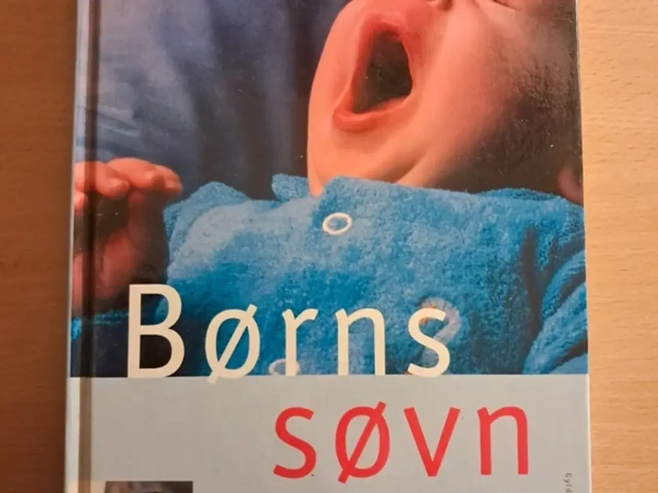 Billede 1 - Marion Thorning Børns søvn Bog