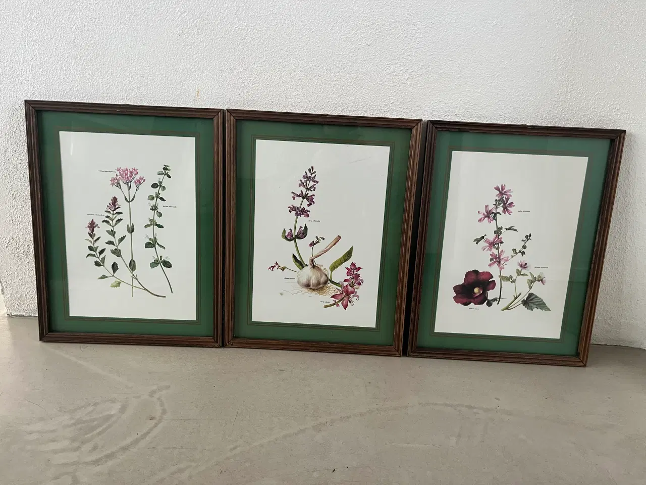 Billede 1 - Billeder 