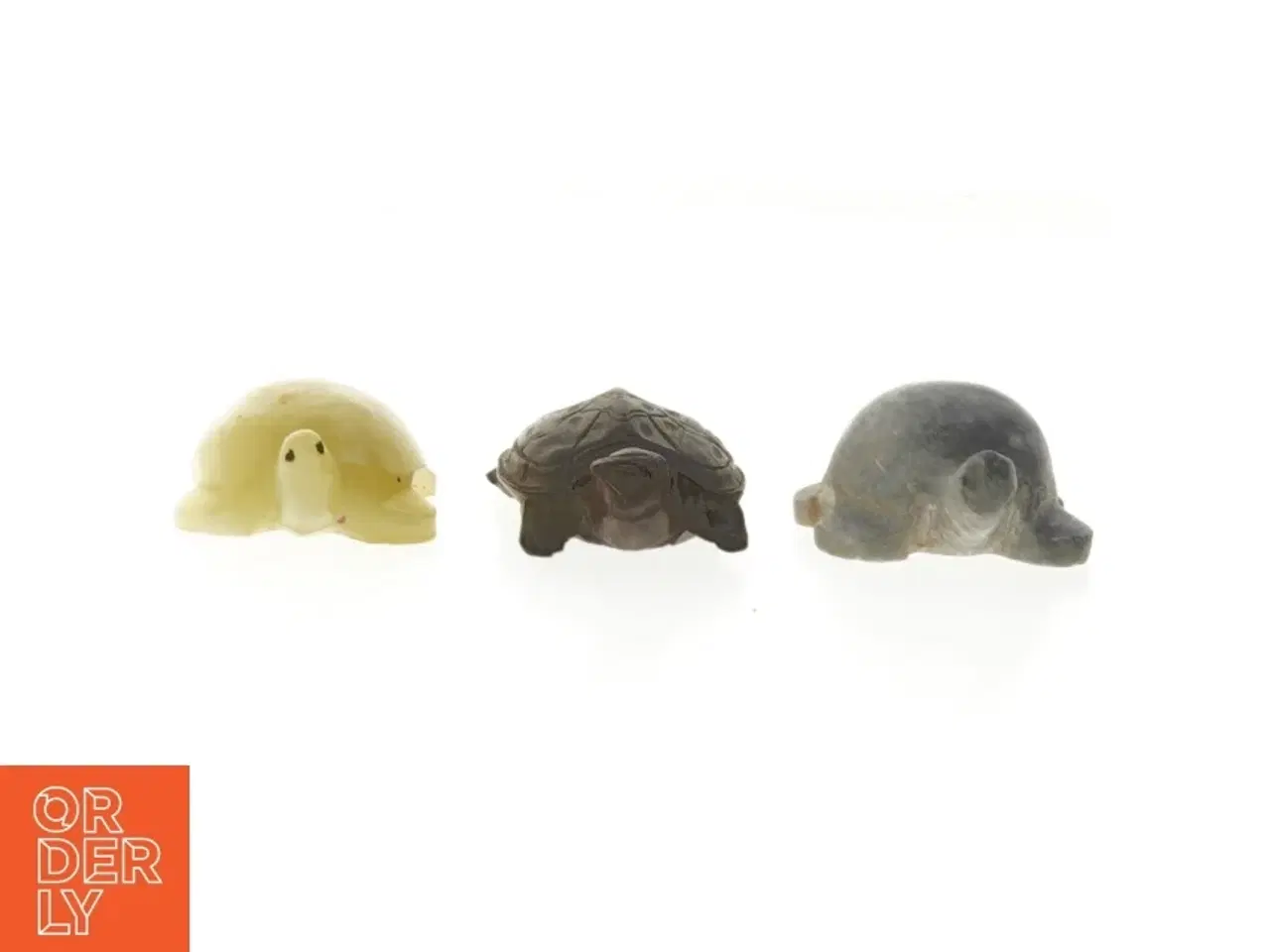 Billede 5 - sten skildpadder (str. 5-7 cm)