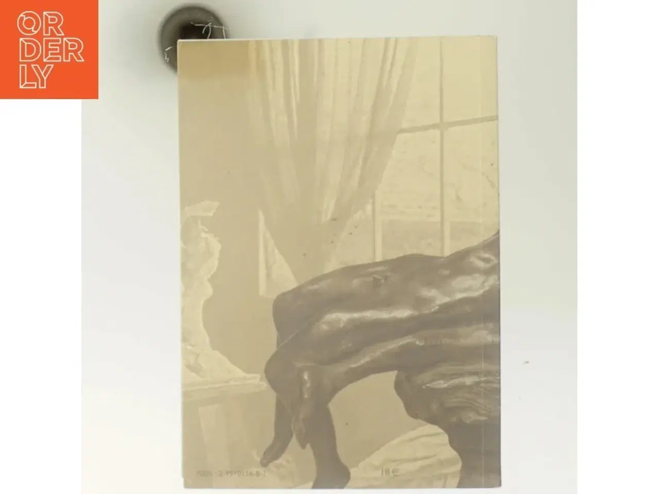 Billede 3 - Rodin af Ukendt (Bog)