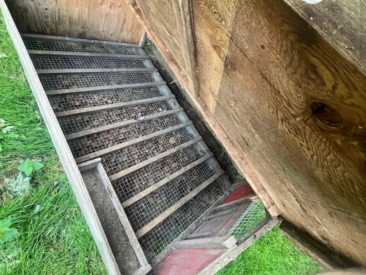 Billede 2 - Kyllinge hus