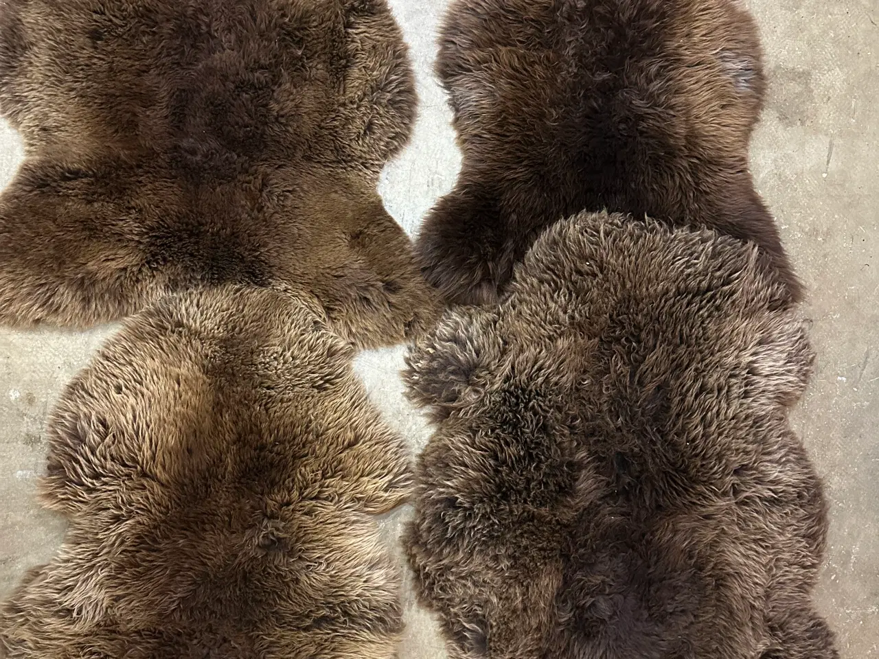 Billede 1 - 4 stk. langhårede brune lammeskind