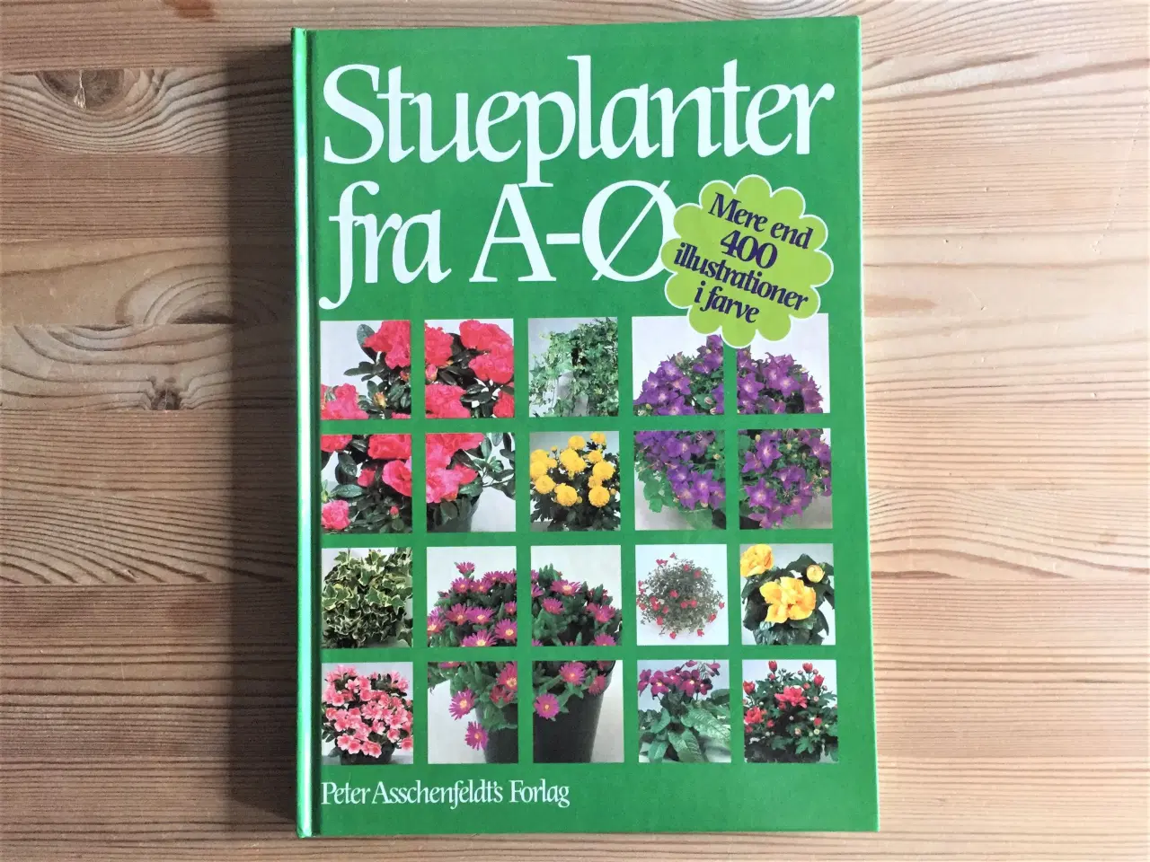 Billede 1 - Stueplanter, 2 bøger