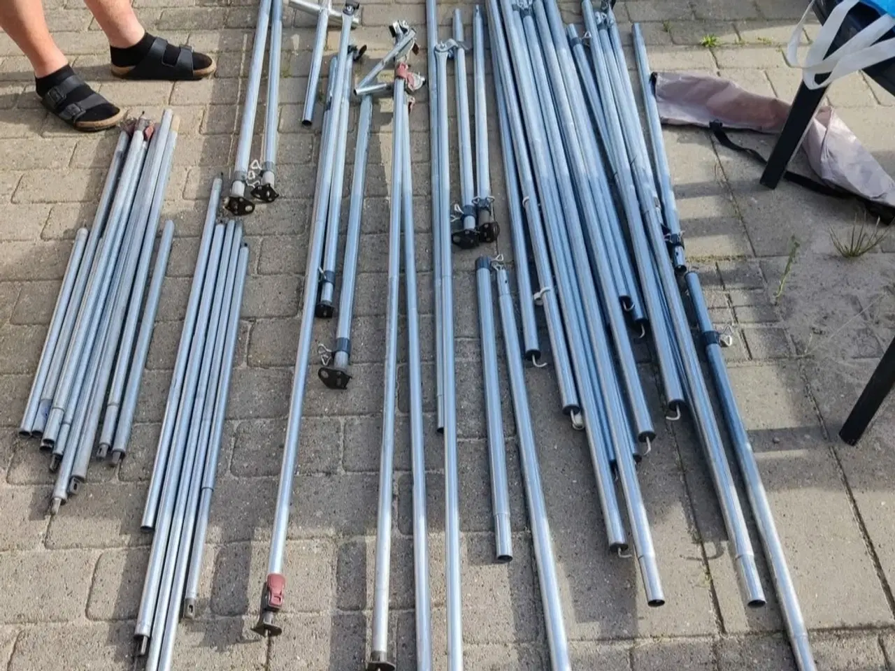 Billede 2 - Isabella Penta zinc megafarme STÆNGER