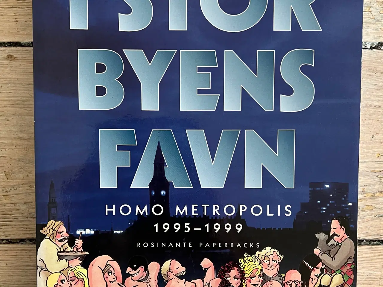 Billede 1 - I Storbyens Favn