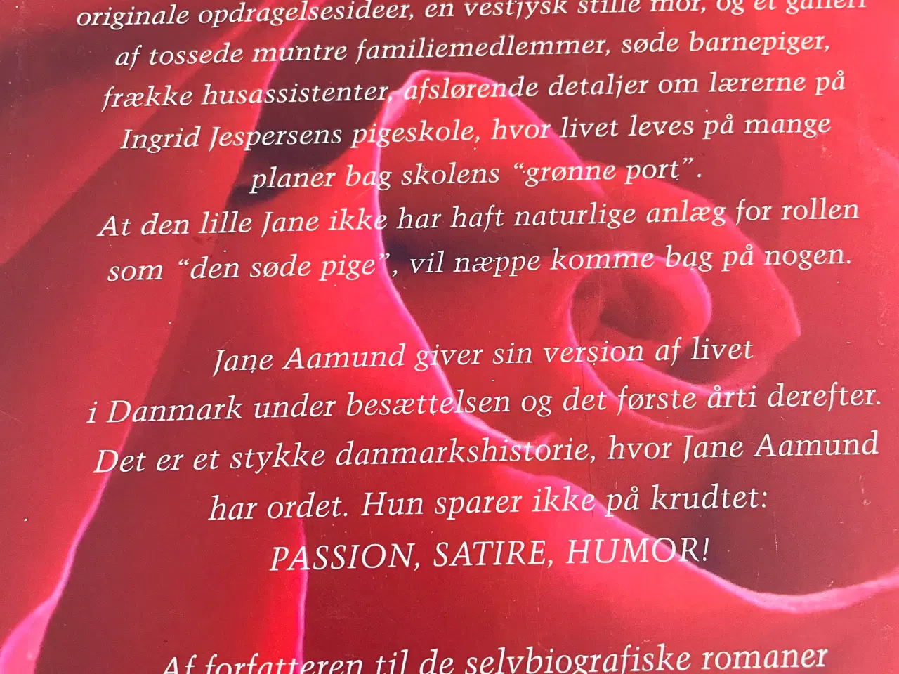 Billede 8 - Den grønne port - Jane Aamund 