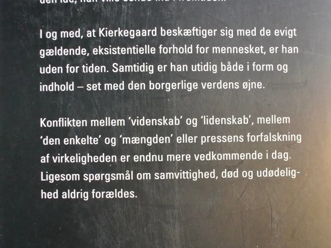 Billede 4 - den utidige kierkegaard - og vor tid, af birgit be