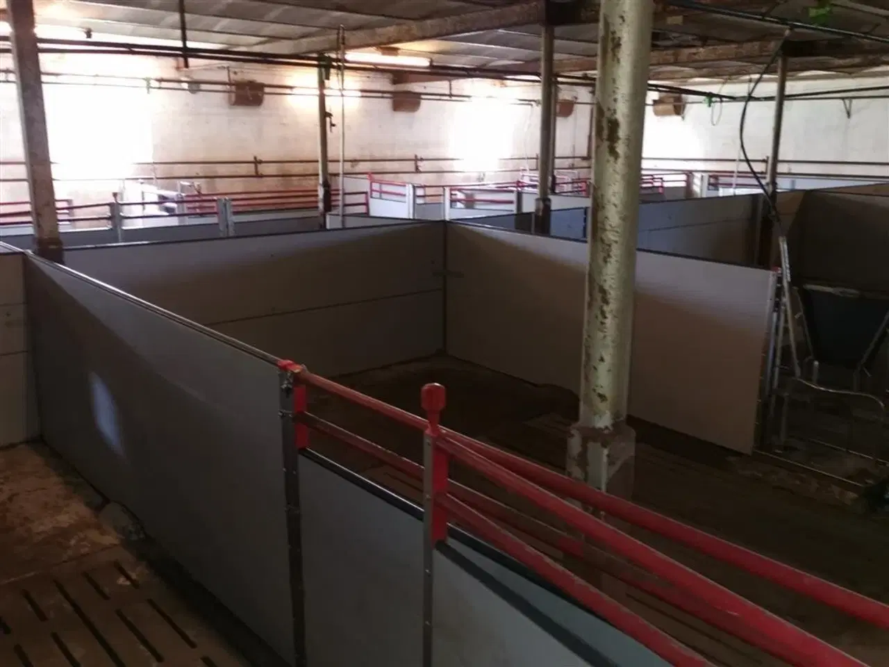 Billede 2 - Egebjerg Slagtesvin inventar