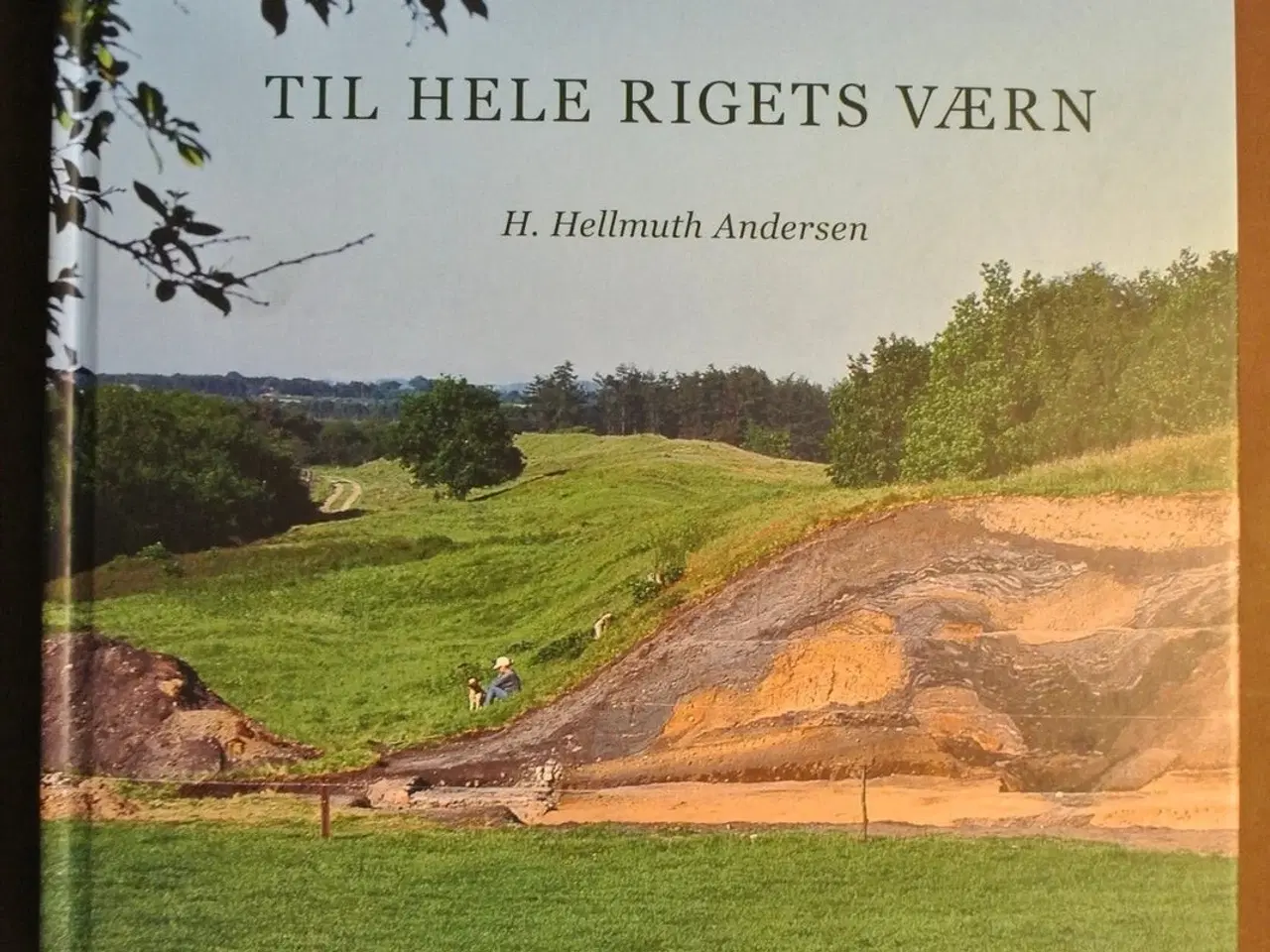 Billede 1 - til hele rigets værn - danevirkes arkæologi og hi
