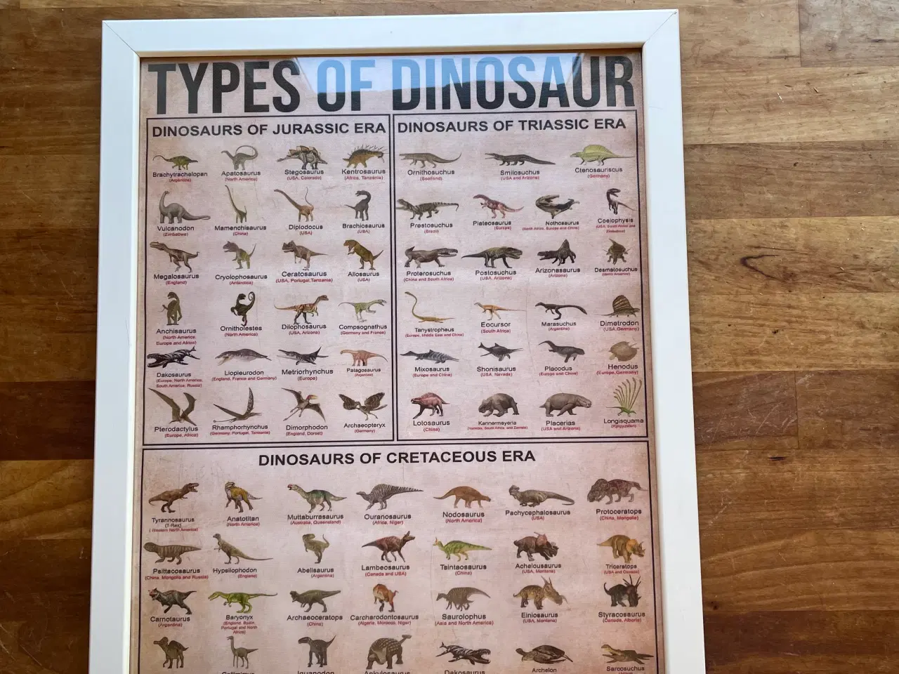 Billede 5 - Dinosaur plakat indrammet