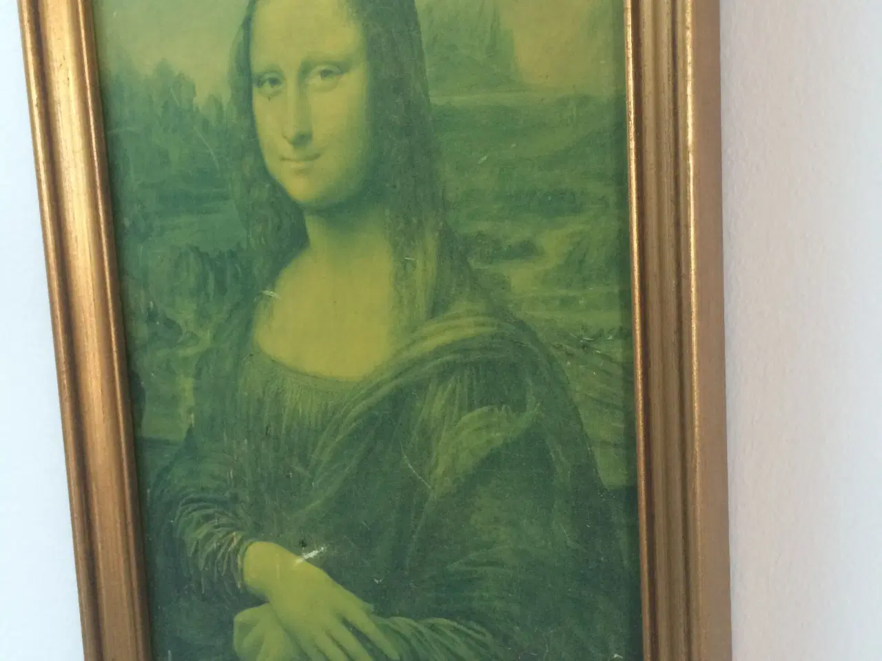 Billede 3 - Billed af Mona Lisa