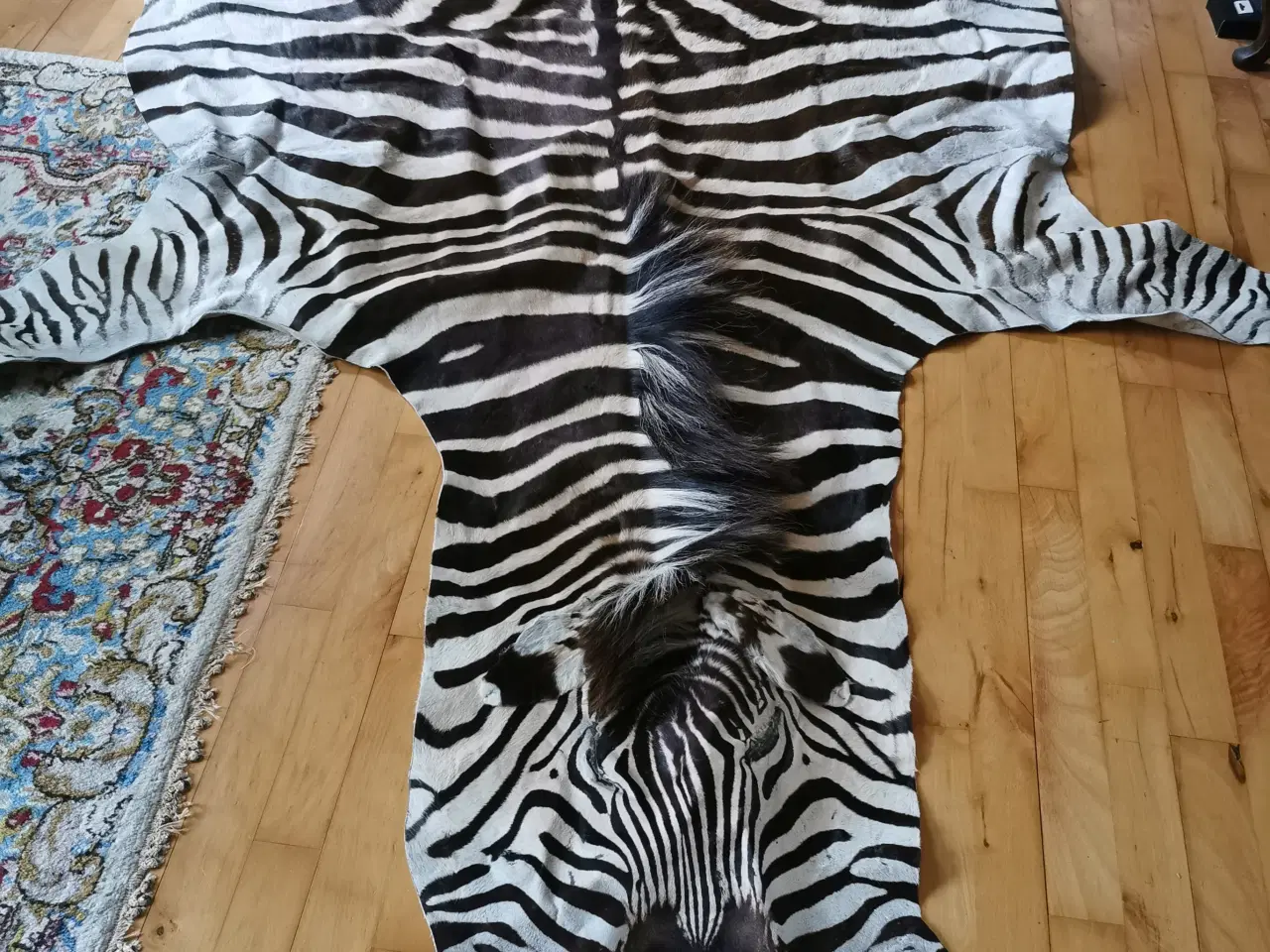 Billede 2 - zebra skind 