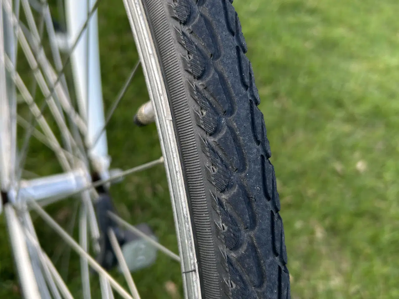 Billede 10 - Sco Damecykel 