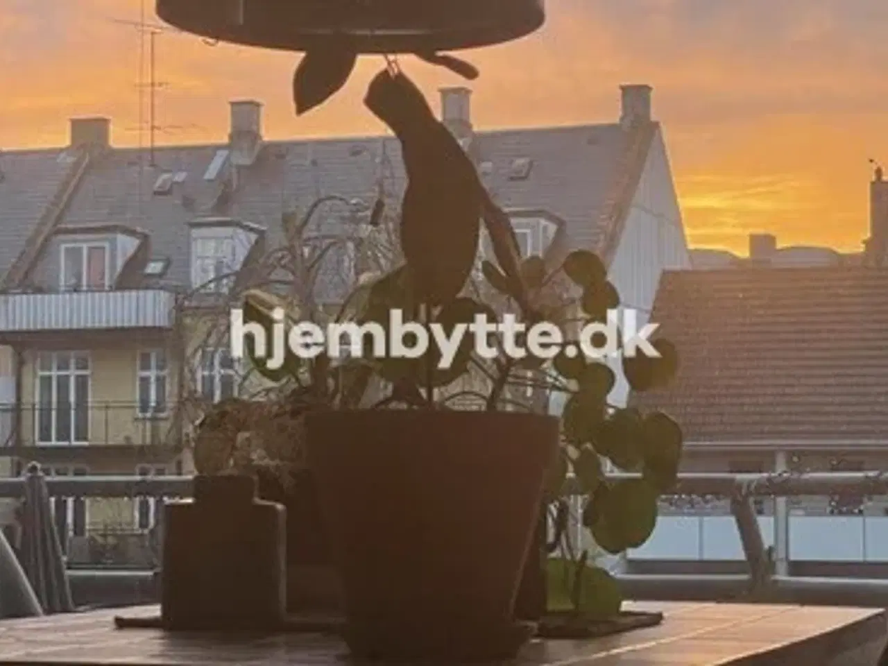 Billede 4 - Hjembytte - Saxogade