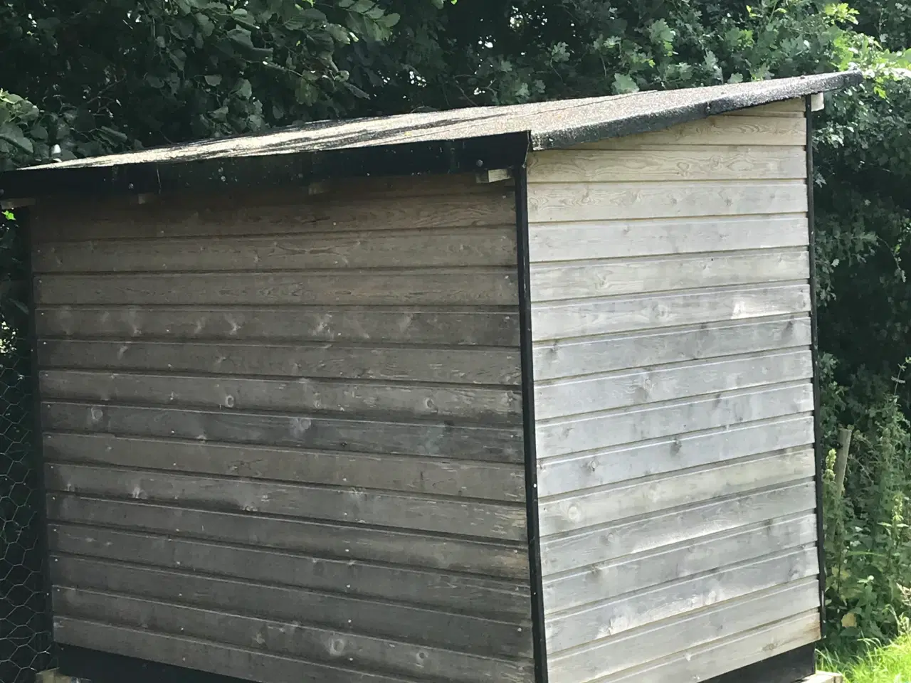 Billede 2 - Hønsehus