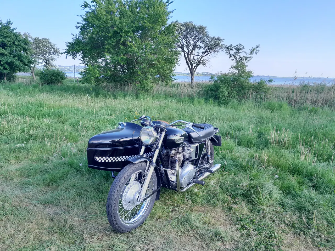Billede 2 - Triumph Bonneville m. Sidevogn