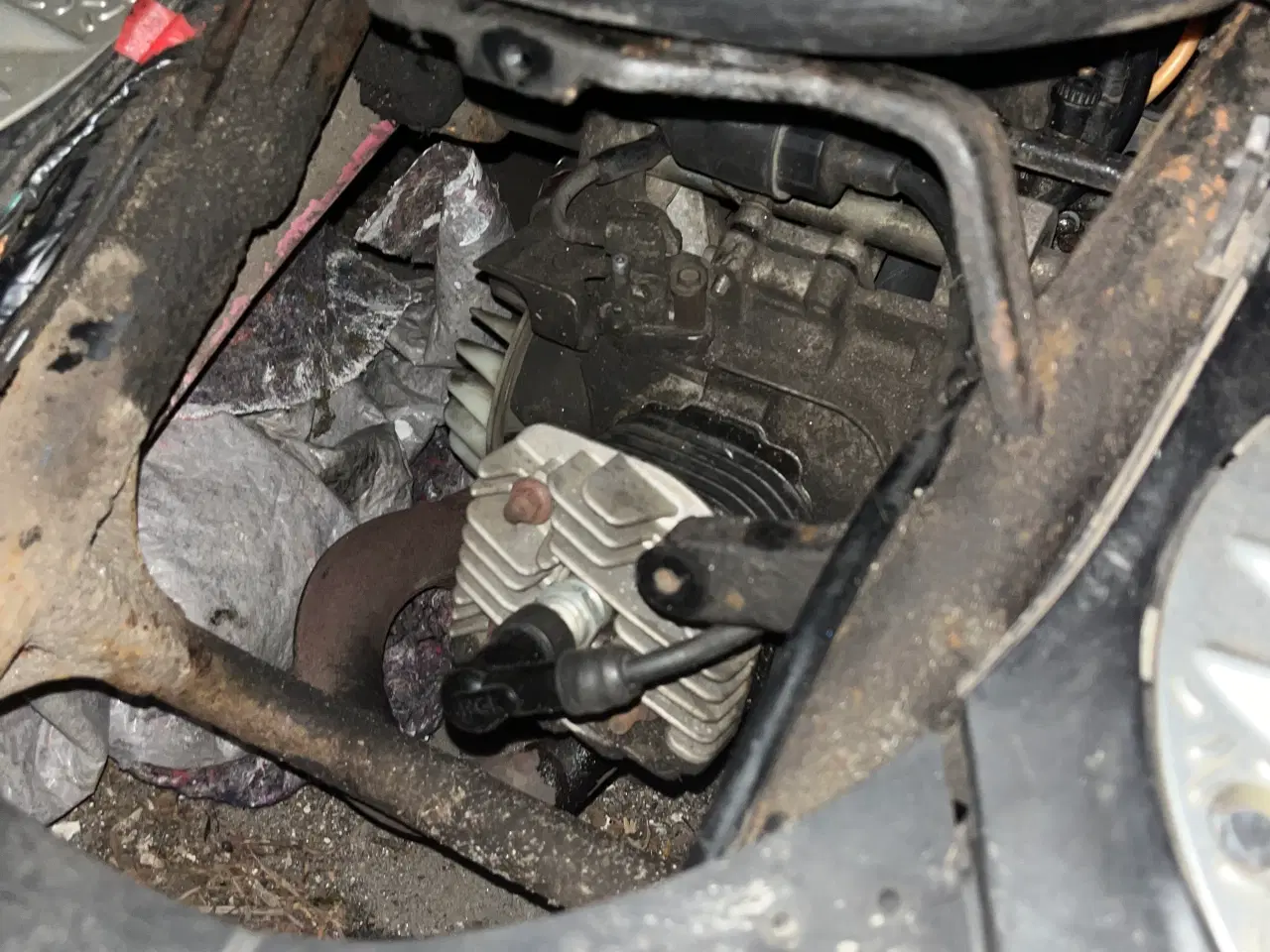 Billede 6 - Pgo White magic