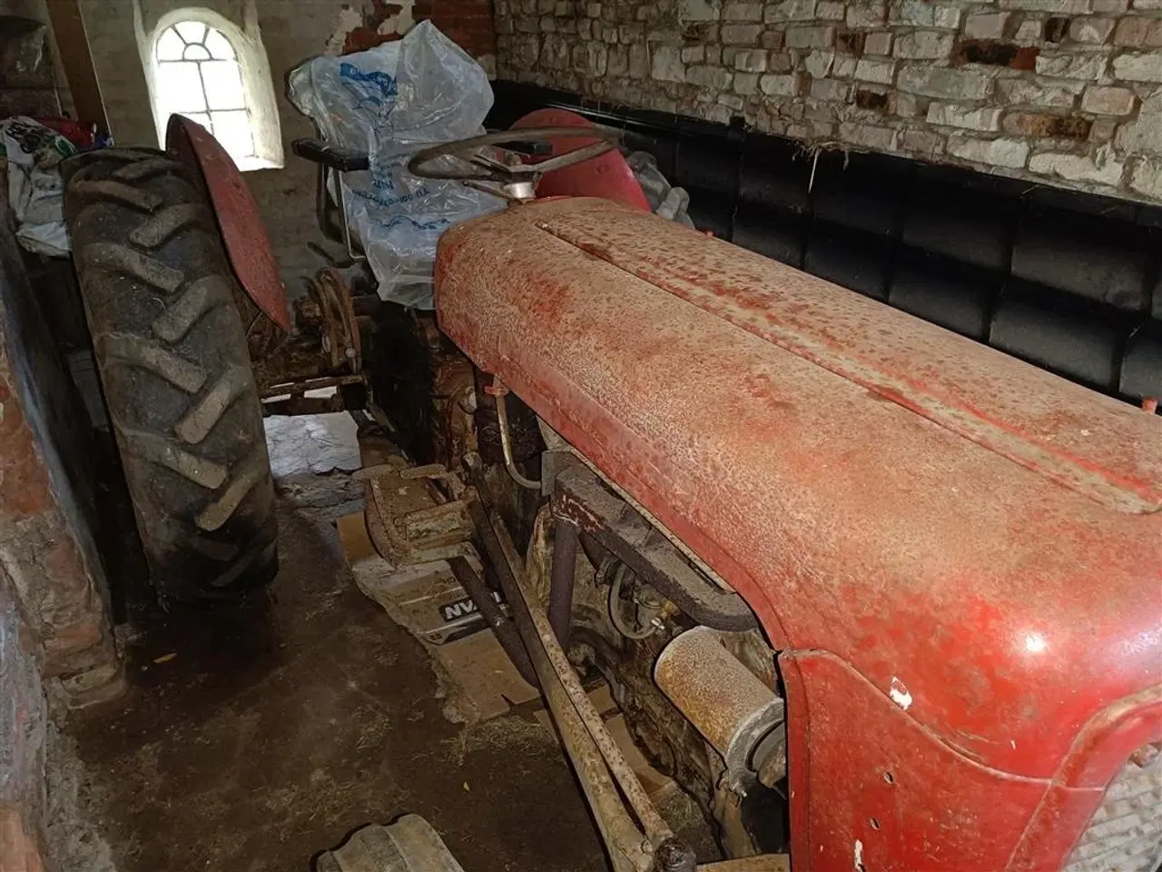 Billede 2 - Massey Ferguson 35 benzin evt. plænetraktor i byt MOMSFRI