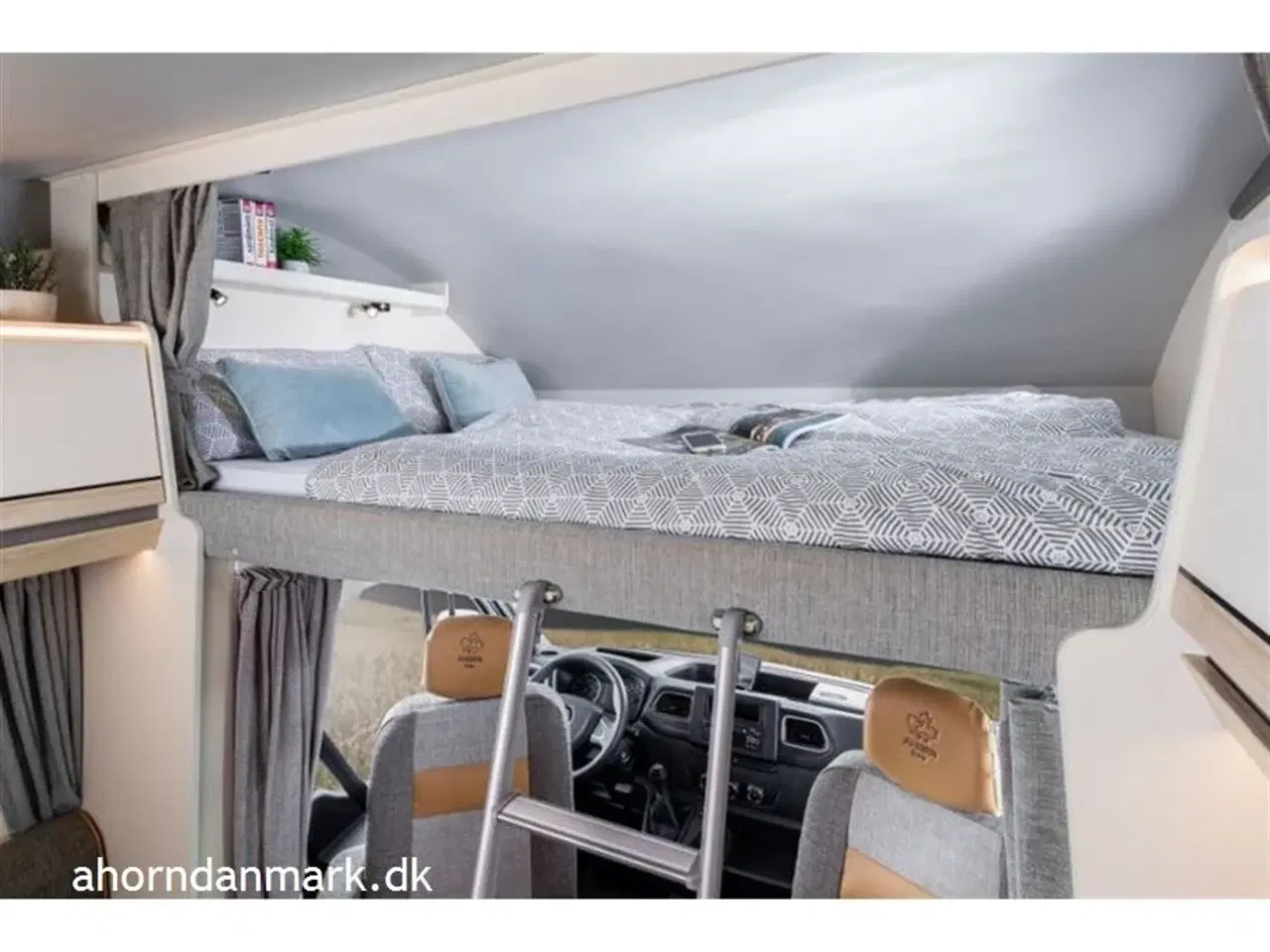 Billede 6 - 2025 - Ahorn Canada AE   Canada AE 2024