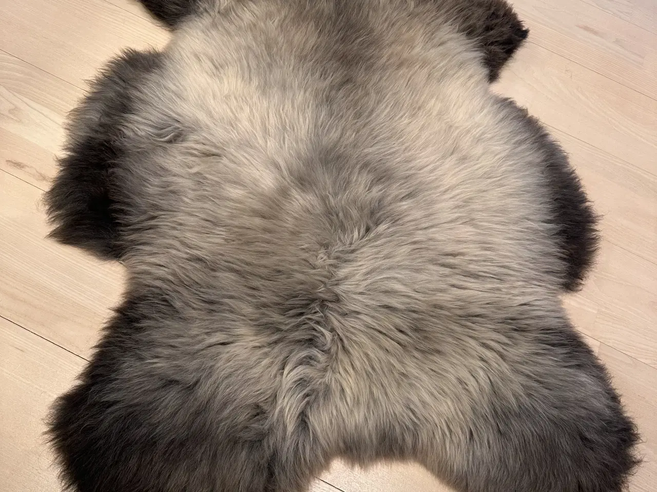 Billede 2 - Helt nyt lammeskind